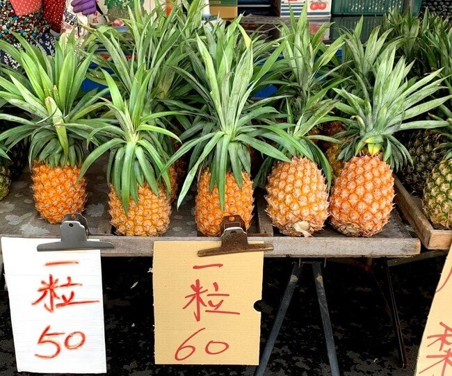 屏東 Pingtung 滋賀県草津市の元サラリーマン税理士の独立開業ブログ